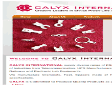 Tablet Screenshot of calyxintl.com